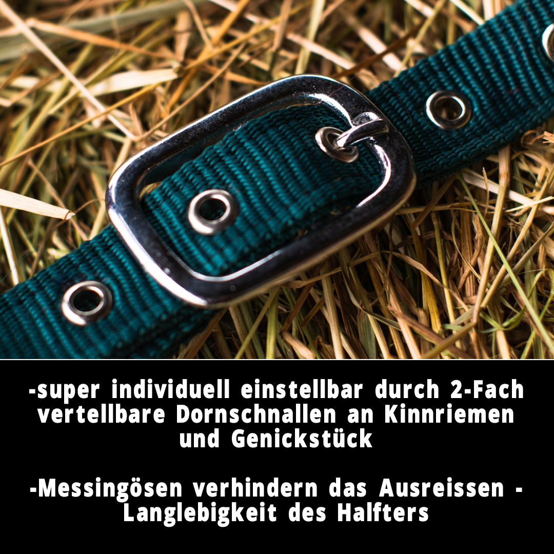 Halfter 2-Fach verstellbar mit Dornschnallen